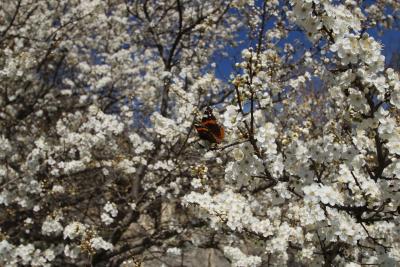 Прикрепленное изображение: 2.jpg